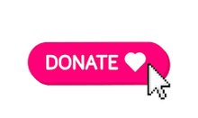 Load image into Gallery viewer, A Day with EZM!